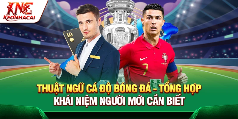 https://etf-invest.io/thuat-ngu-ca-do-bong-da/